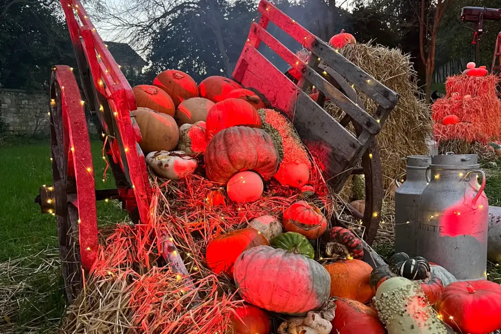 brume-surnaturelle-parc-etrange