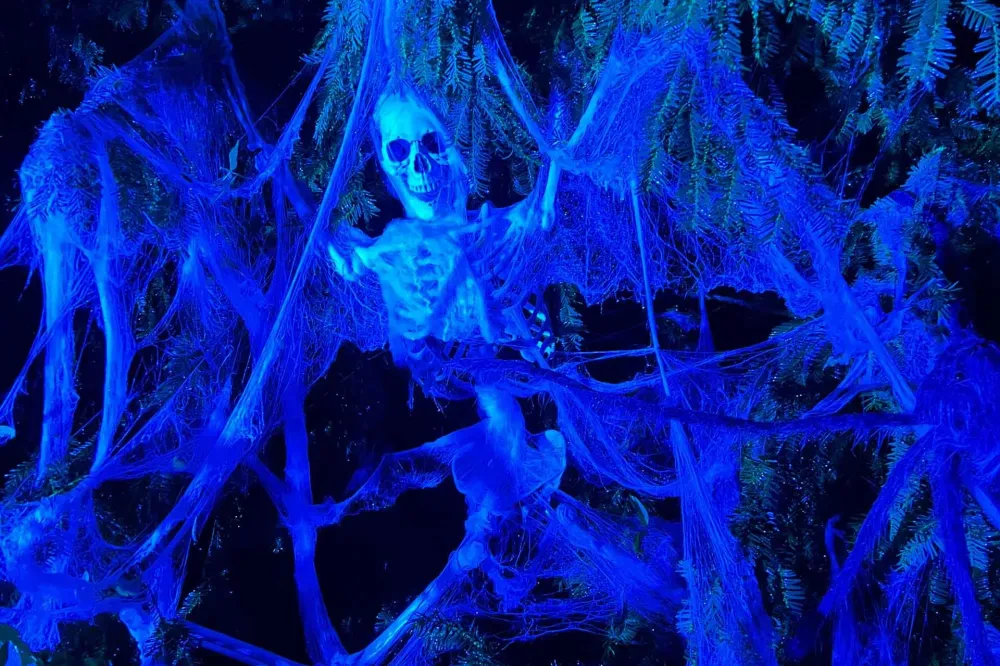 halo-fantome-foret-hantee-halloween