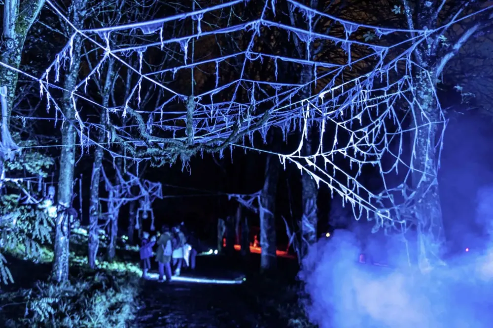 vampire-spectacle-halloween-domaine-saint-cloud