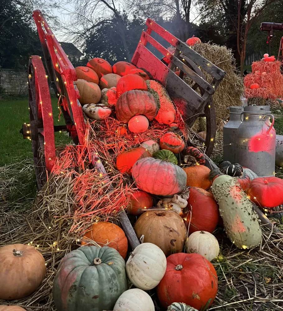 CHARETTE CITROUILLE 2