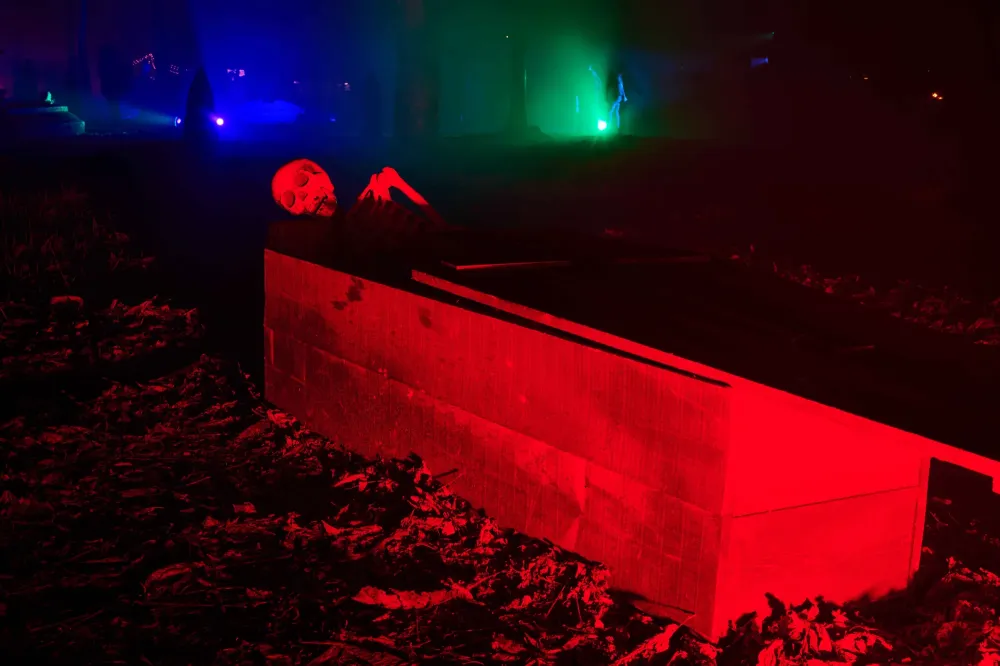 lumière-ensorcelée-foret-hantee