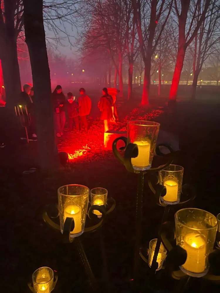 ombres-mystérieuses-parc-etrange