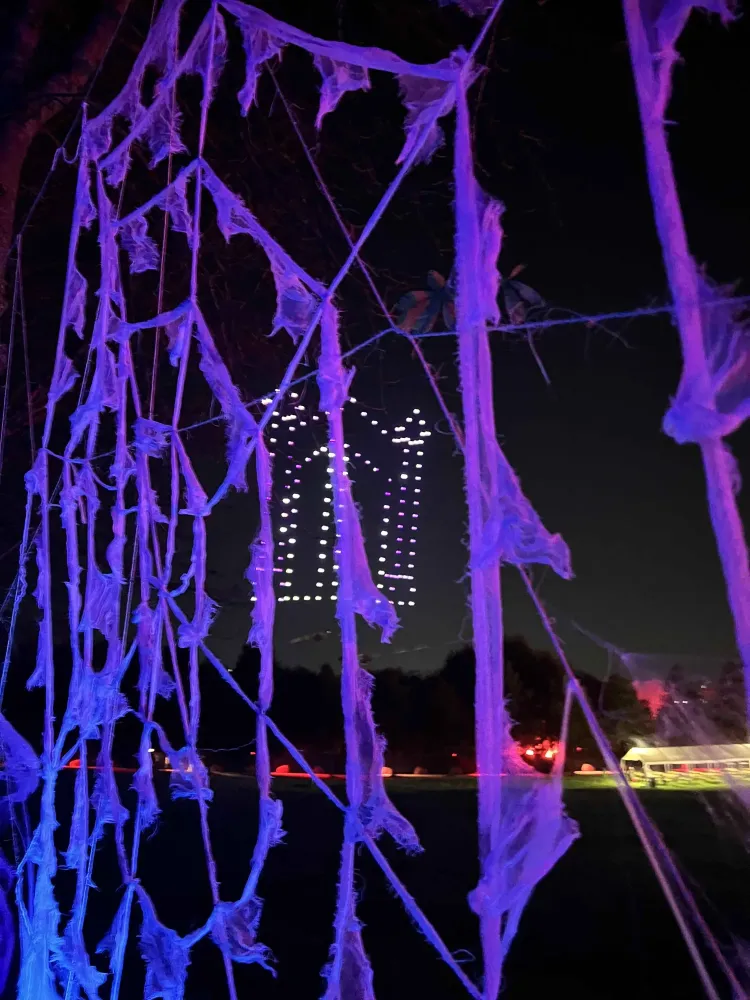 TOILE ARRAIGNÉEwebp